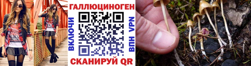 Галлюциногенные грибы Psilocybe  Куртамыш 